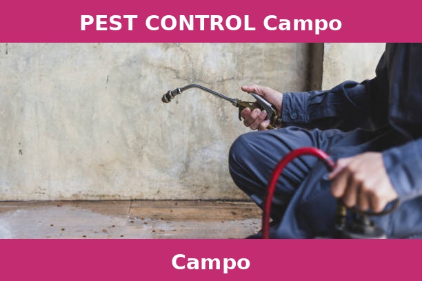 PEST CONTROL Campo
